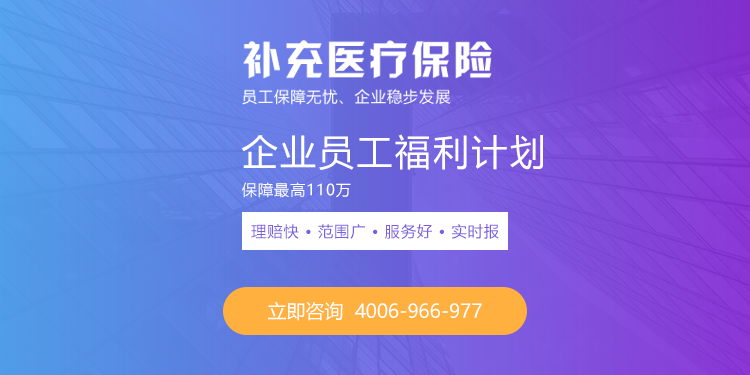 补充医疗