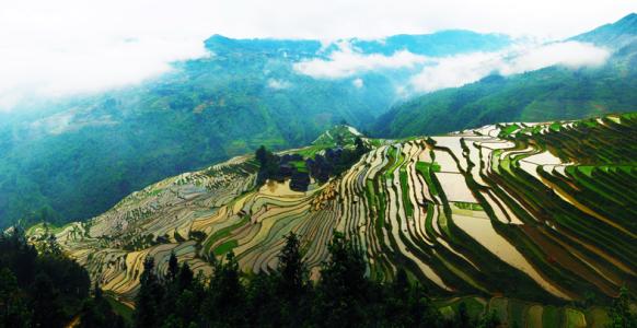 贵州黔东南：社保费减免申报即收即办