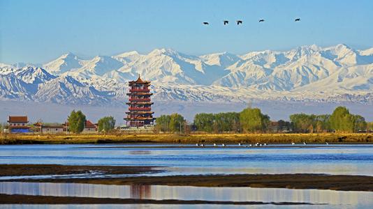 甘肃高台：三项行动推动行风建设落细走深